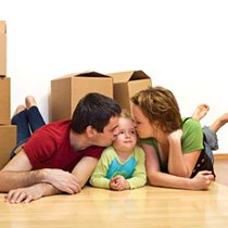 da16 domestic removal