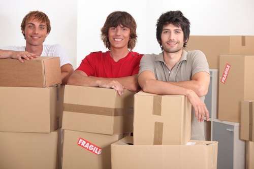 Checklist and packing materials for a Welling house move
