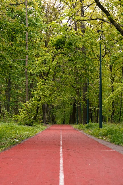 A straight, red-colored pathway through a lush green park with tall trees on either side, their branches extending overhead and forming a canopy. The pathway features a white dashed line running down the center, guiding the direction of travel. The image captures the serene environment and natural light filtering through the leaves, emphasizing the peaceful setting. In a house removals context, this scene illustrates the importance of planning safe routes for large furniture and moving boxes when navigating outdoor spaces, such as parks or pathways near residential areas, as part of the home relocation process managed by [COMPANY_NAME], including packing, transport, and logistics for furniture transport and loading procedures.
